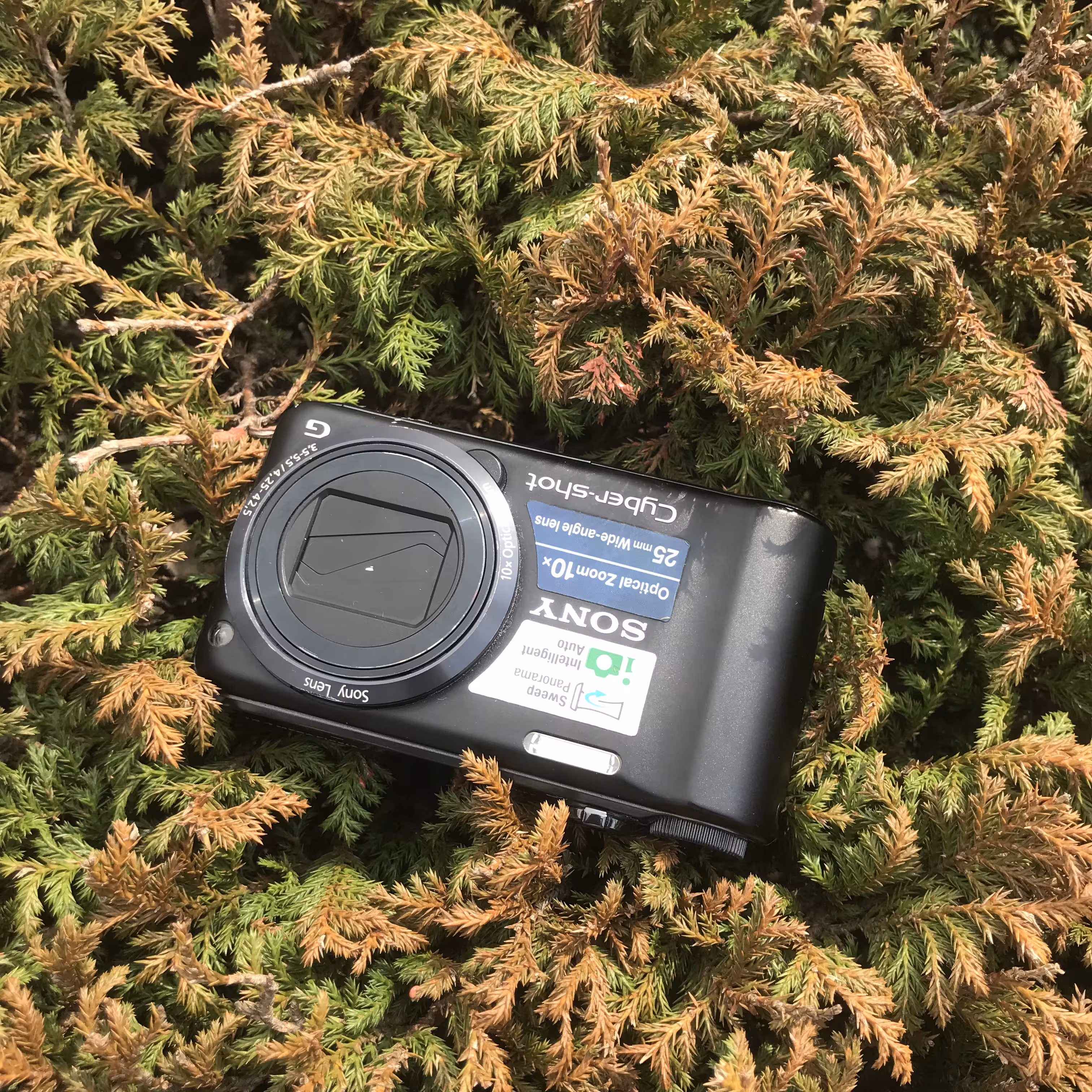 dsc h55 lying lens-up on a shrub